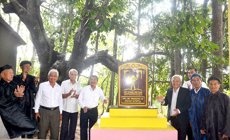 [-]X&atilde;[-]T&acirc;n[-]Thủy[-](Vĩnh[-]Long)[-]tổ[-]chức[-]Lễ[-]đ&oacute;n[-]Bằng[-]c&ocirc;ng[-]nhận[-]6[-]C&acirc;y[-]Di[-]sản[-]Việt[-]Nam